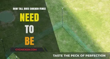 Optimal Chicken Fence Height: Protecting Your Flock from Predators