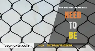 Chicken Wire Height: How Tall Does It Need To Be?