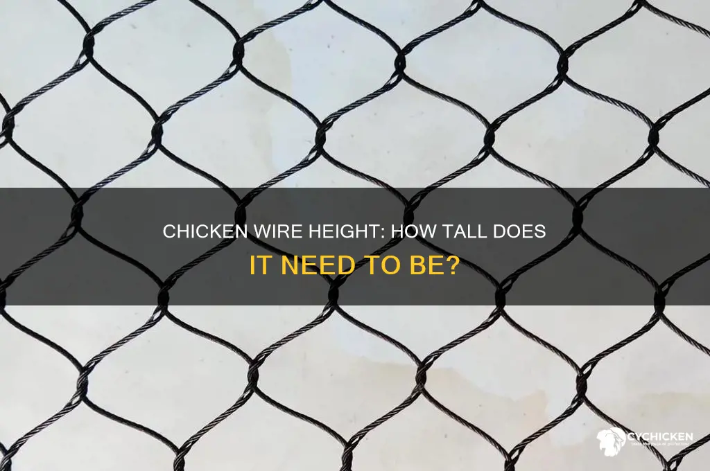 how tall does chicken wire need to be