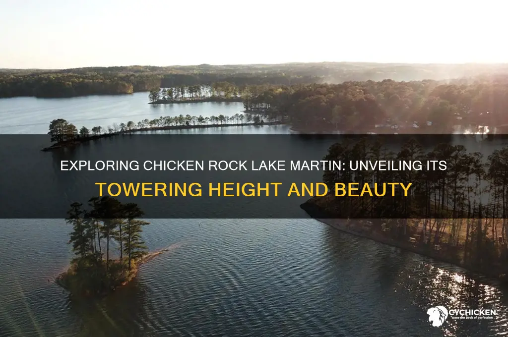 how tall is chicken rock lake martin