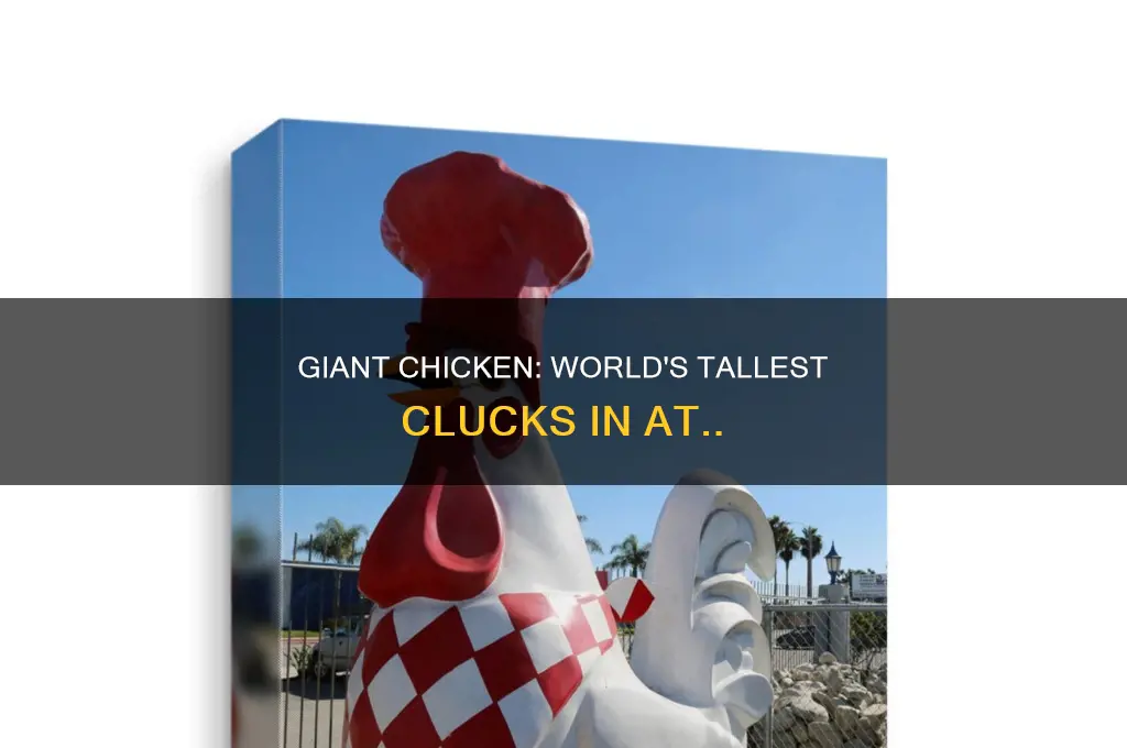 how tall is the world