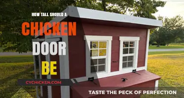 Ideal Chicken Coop Door Height: Tips for Safe and Easy Access