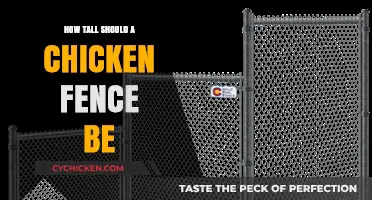 Ideal Chicken Fence Height: Protecting Your Flock from Predators
