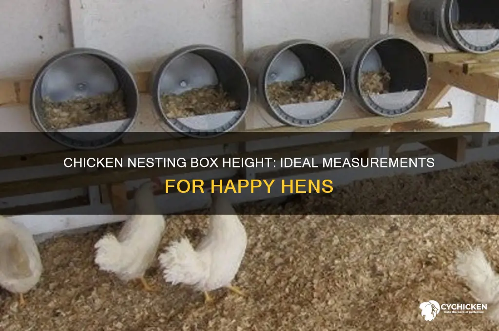 how tall should a chicken nesting box be