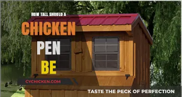 Optimal Chicken Pen Height: Ensuring Safety and Comfort for Your Flock