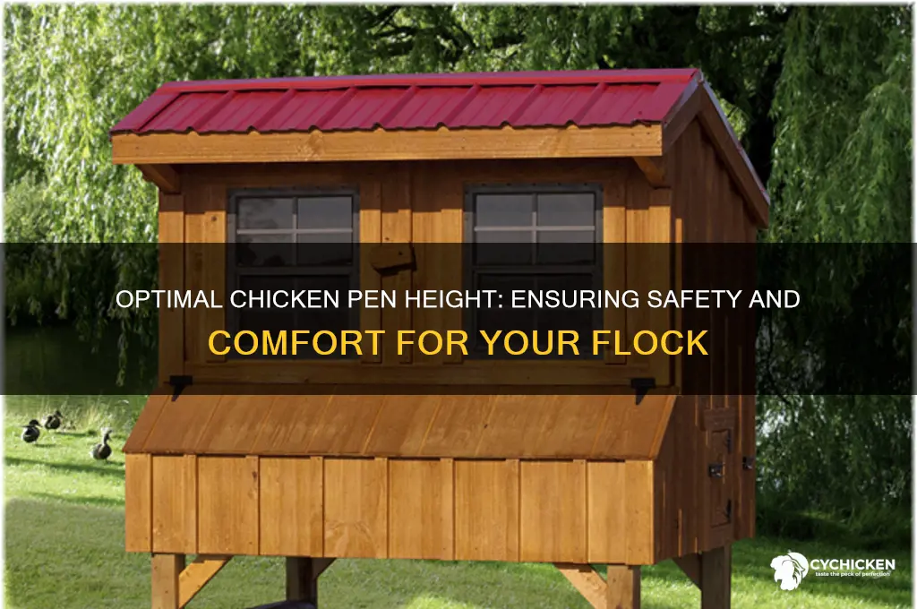 how tall should a chicken pen be