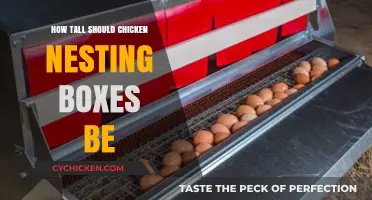 Ideal Chicken Nesting Box Height: A Guide for Happy Hens
