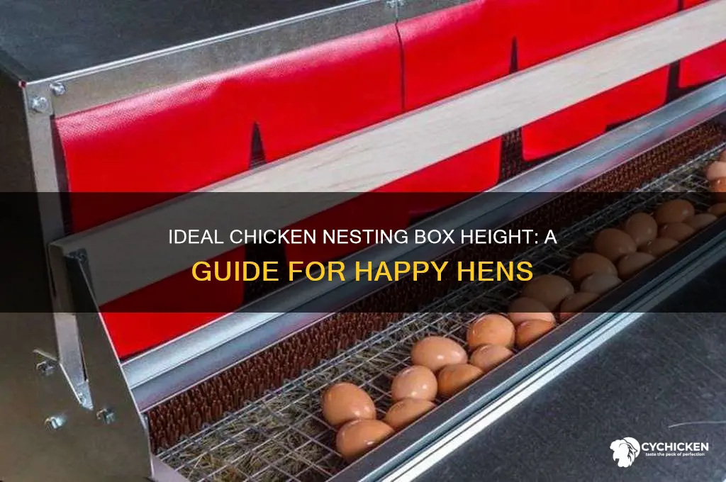 how tall should chicken nesting boxes be