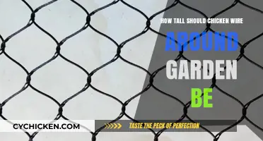 Protect Your Garden: Chicken Wire Height Guide