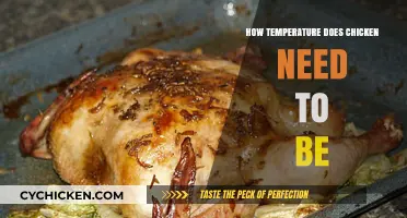 Perfect Chicken Temperature: Safe Cooking Guide for Juicy Results