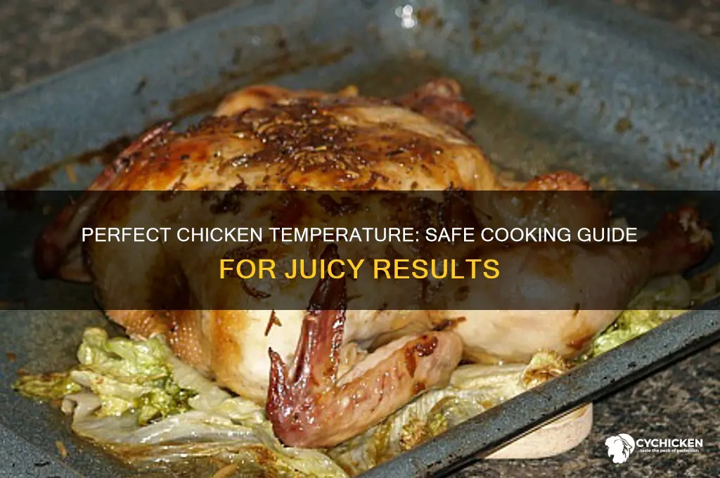 how temperature does chicken need to be