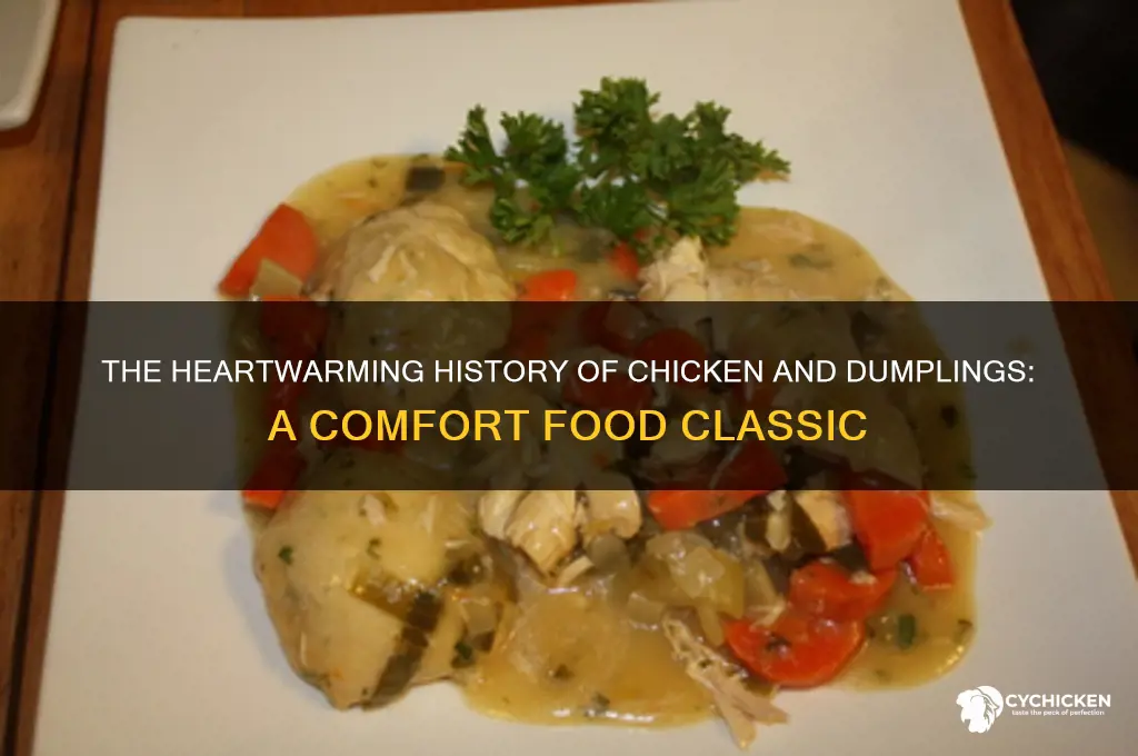 how the chicken and dumplings dish orginated