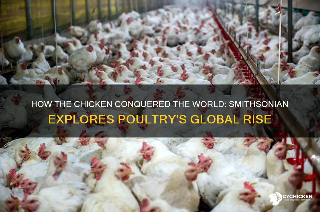 how the chicken conquered the world smithsonian