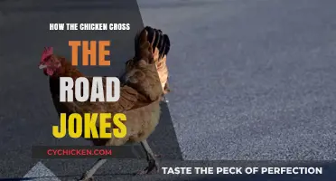 Why Did the Chicken Cross the Road? Unraveling the Timeless Joke