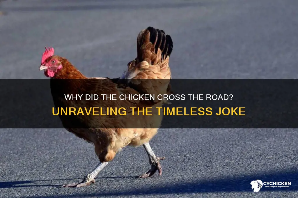 how the chicken cross the road jokes