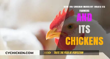 Chicken Industry: Exploiting Farmers, Chickens, and You