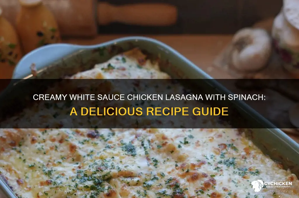 how the make whits sauce chicken lasagnawith spinach