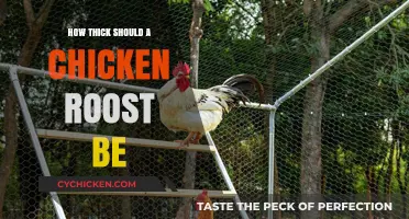 Optimal Chicken Roost Thickness: Ensuring Comfort and Safety for Your Flock