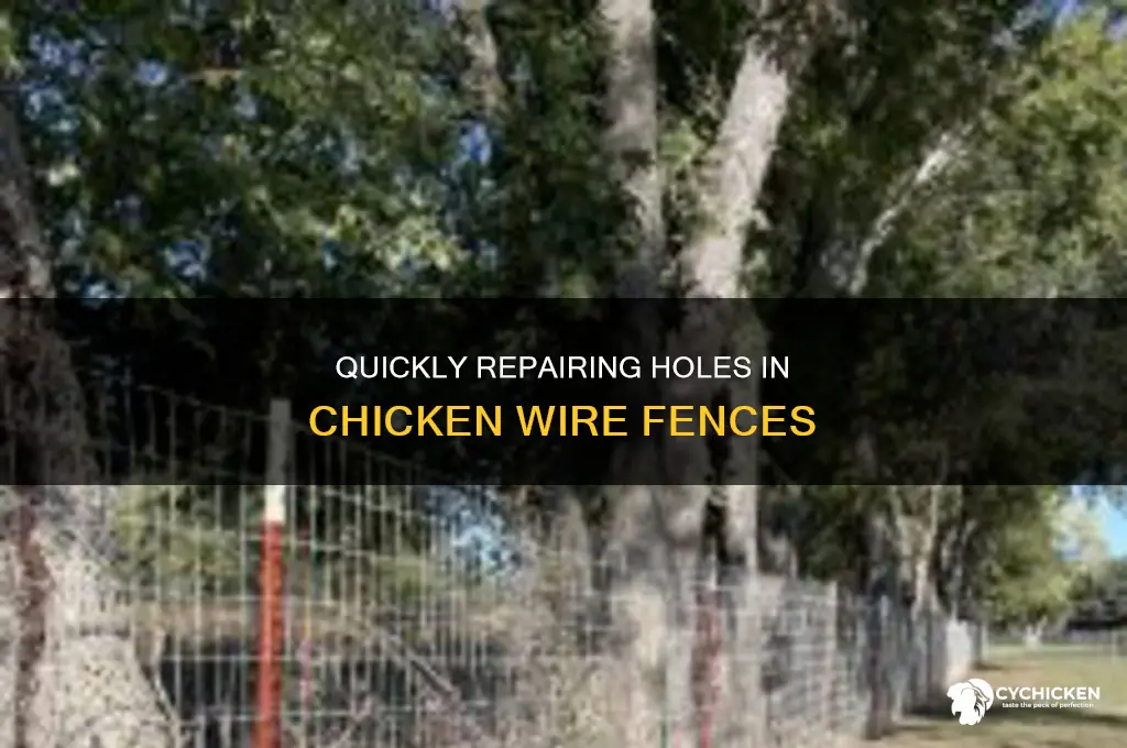 how ti fix holes in chicken wire fenfe