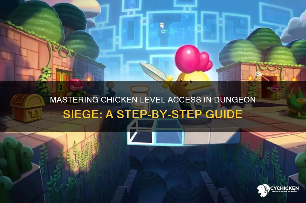 how to access chicken level dungeon siege