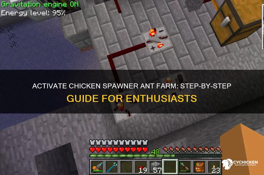how to activate chicken spawner ant farm