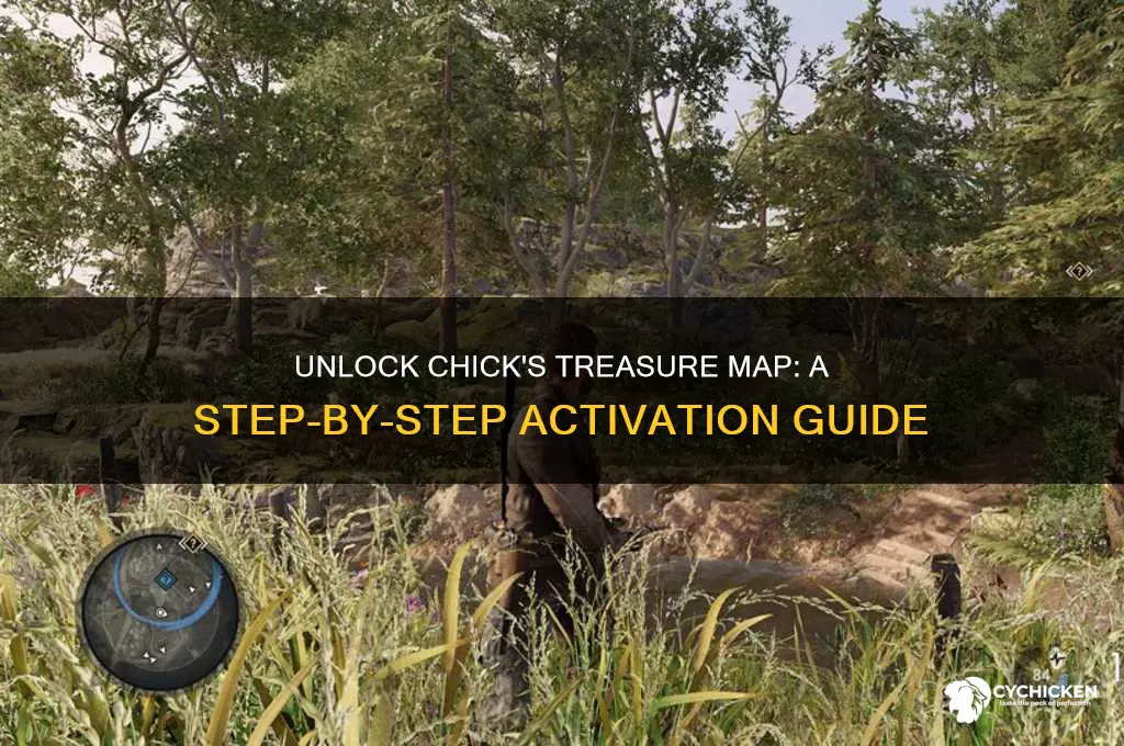 how to activate chick
