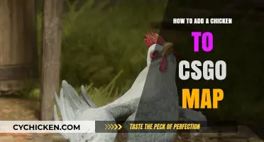 Integrating Chickens in CSGO Maps: A Step-by-Step Guide