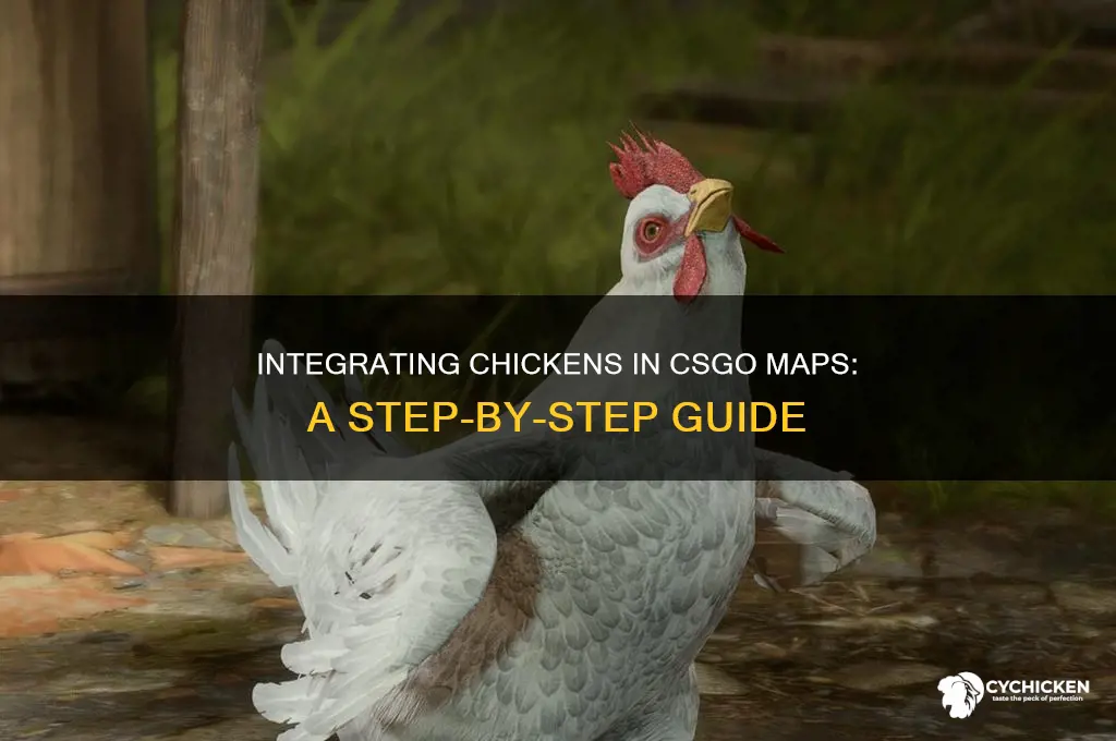 how to add a chicken to csgo map