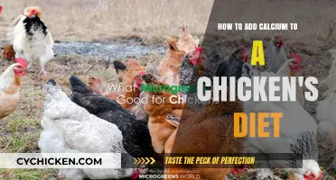Boosting Calcium Intake: Chicken Diet Essentials