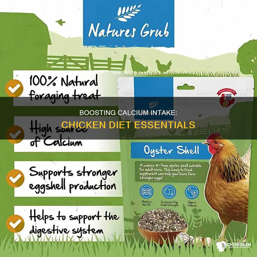 how to add calcium to a chicken