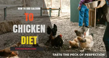 Boosting Chicken Health: Simple Ways to Add Calcium to Their Diet