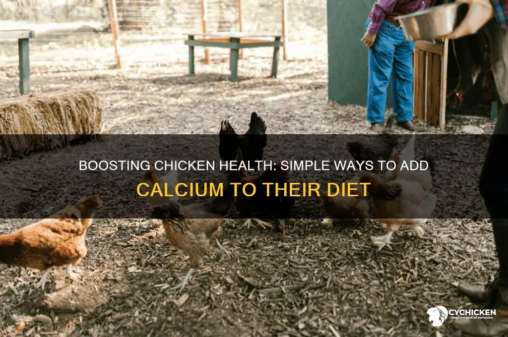how to add calcium to chicken diet