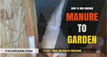 Boost Your Garden's Growth: Adding Chicken Manure Effectively