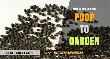 Boost Your Garden Naturally: Using Chicken Poop as Fertilizer