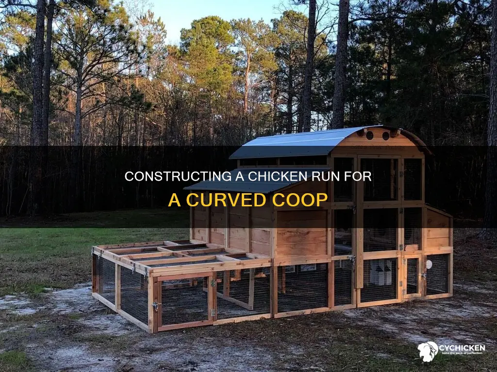 how to add chicken run to a curved building