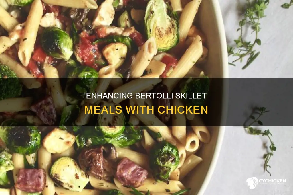 how to add chicken to bertolli skillet meals