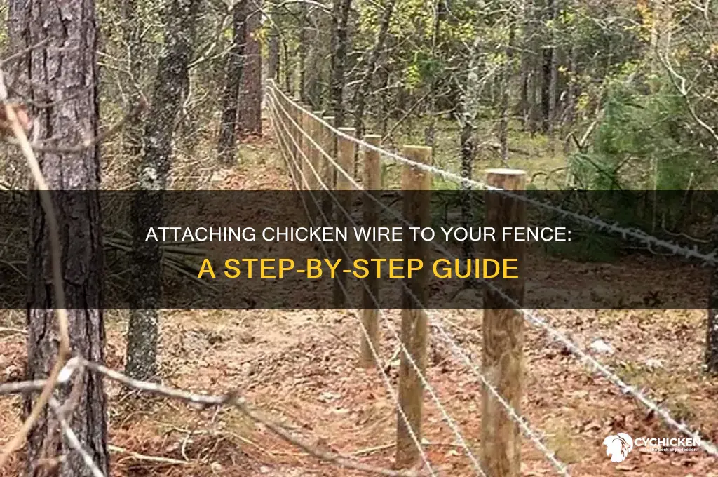 how to add chicken wire to a fence