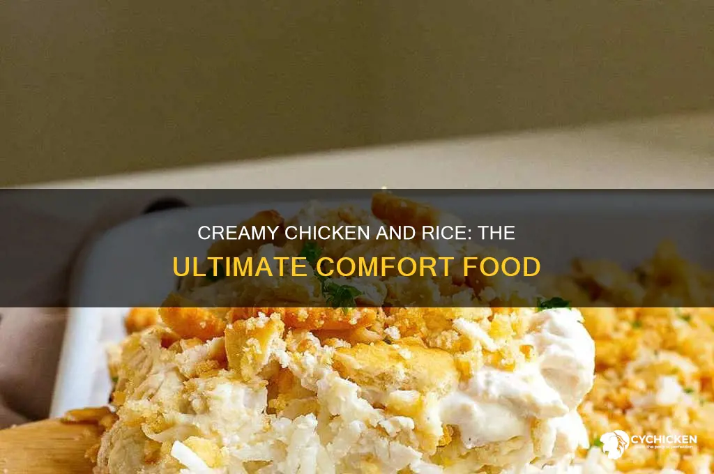 how to add cream of chicken to rice