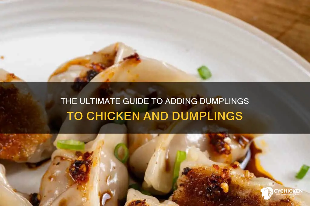 how to add dumplings to chicken and dumplings