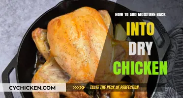 Reviving Dry Chicken: Moisture-Infusing Techniques