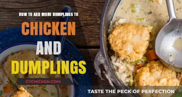 Dumplings Galore: Hearty Chicken and Dumpling Recipe
