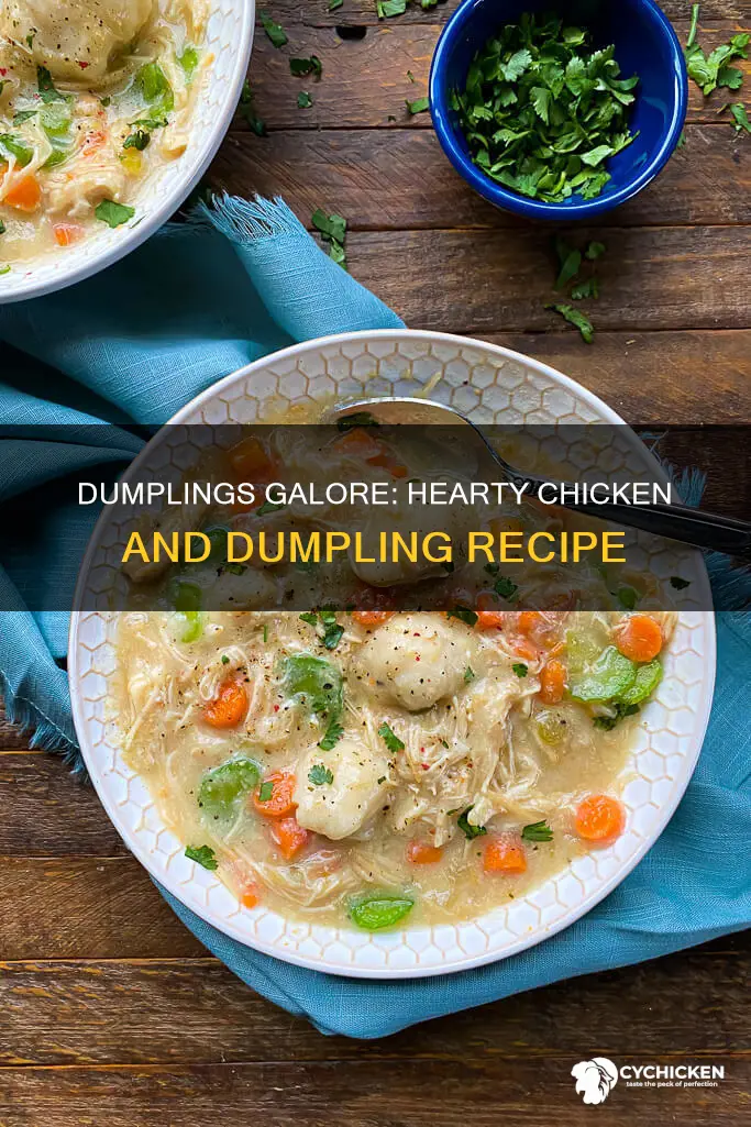 how to add more dumplings to chicken and dumplings