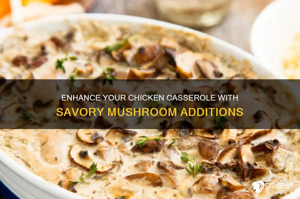 how to add mushrooms to chicken casserole