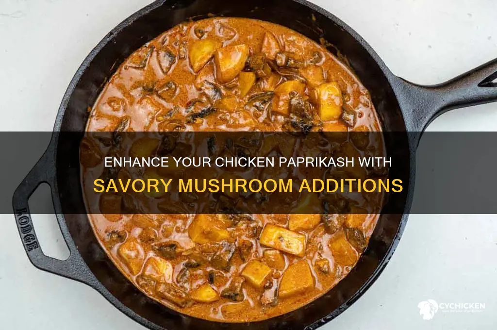how to add mushrooms to chicken paprikash