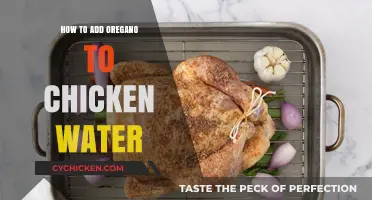 Enhance Chicken Health: Adding Oregano to Their Water Easily