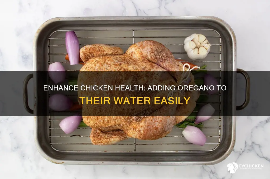 how to add oregano to chicken water