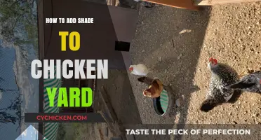 Creating a Cool Coop: Easy Ways to Add Shade to Your Chicken Yard