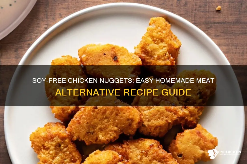 how to add soy free meat alternative chicken nuggets