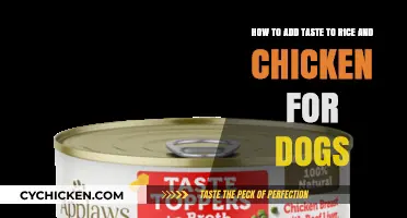 Enhancing Rice and Chicken Meals for Your Dog
