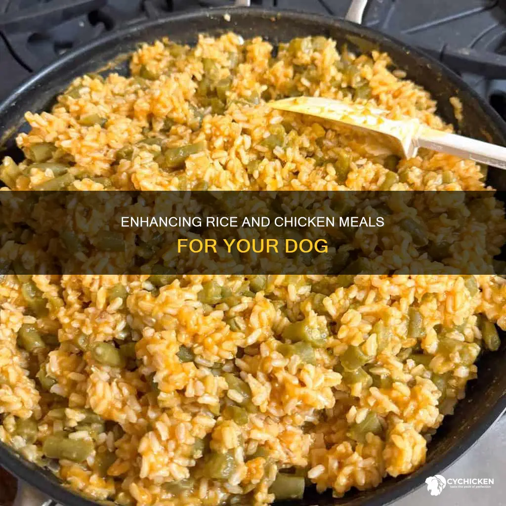 how to add taste to rice and chicken for dogs